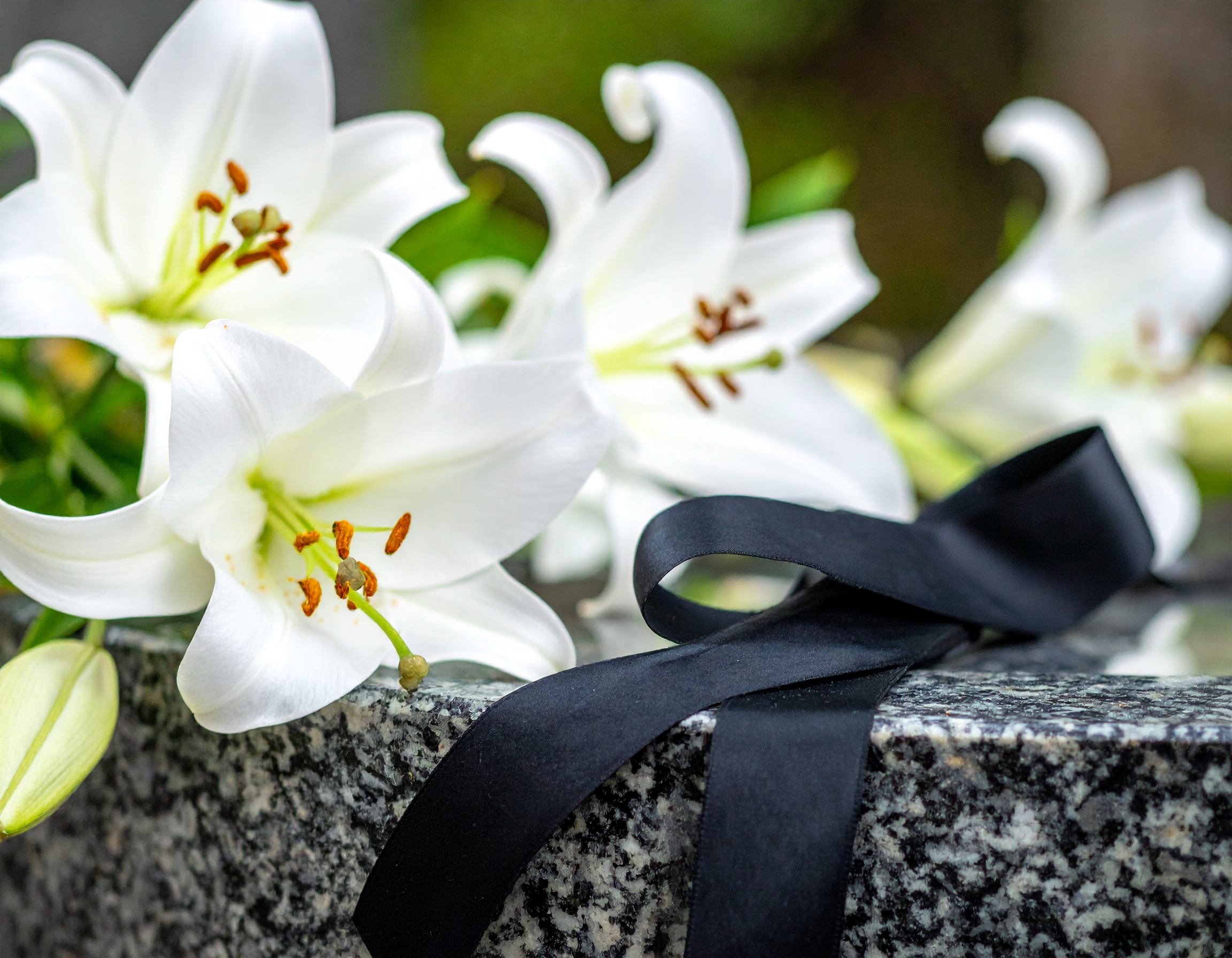 遺影の画質をAIで劇的改善！ボケ補正＆高画質化無料ツール